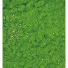 BASTELZUBEHÖR, WERKZEUG UND AUFBEWAHRUNG Velvet in polvere, di colore verde chiaro scintillante, 10ml