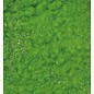 BASTELZUBEHÖR, WERKZEUG UND AUFBEWAHRUNG Velvet in polvere, di colore verde chiaro scintillante, 10ml