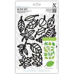 Docrafts / X-Cut Coupe et de gaufrage pochoirs XCUT Grand: Feuilles