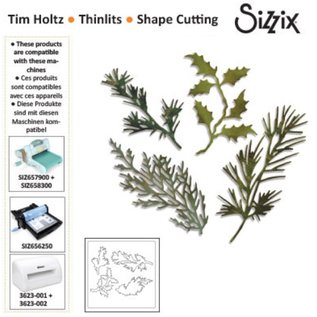 Sizzix Stampaggio e goffratura stencil, thinlits Sizzix, Set di 4 rami con foglie