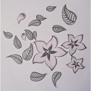 Transparent stamps, flowers and leaves