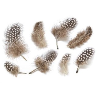 Embellishments / Verzierungen plumas decorativas, la naturaleza