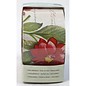 DCWV und Sugar Plum Home Craft Recorte 2 - Vintage Wallpaper Roses - Tan / Red / Gree