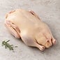 Ente männlich – mindestens 3 kg