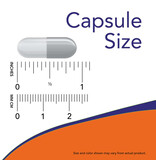 Now Foods Pantothenic Acid, 500 mg, 100 Veg Capsules