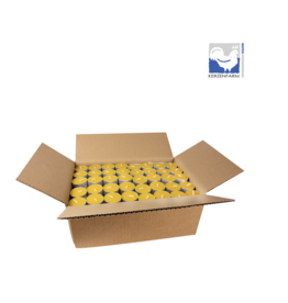 Kerzenfarm Hahn Bienenwachs Teelichte mit Aluhülle,  200 Stück., 6-pack