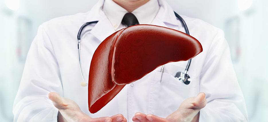 Your liver fights for your health. Join it!