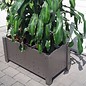 Versandmetall Set (2 stuks) speciale roestvrijstalen planter plantenbak planter eenzijdig met fijn gesneden (korrel 320) afmetingen: PK 20-80 buiten A: 28cm, B: 92cm, H: ~ 43cm = binnenzijde axbxh 20cm x 84cm x ~ 36cm