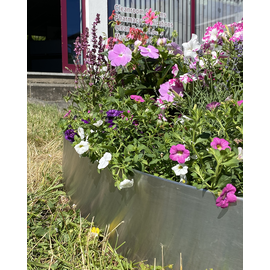 Versandmetall 2,5 m (2500 mm) lange, stabiele gazonranden met gevouwen roestvrij staal van 160-250 mm hoog