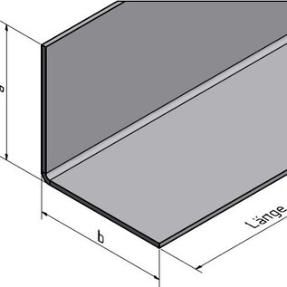 Versandmetall Angle inox grand 90° longueur 2000 mm