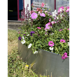 Versandmetall Stevige gazonranden met vouw aluminium naturel 160-250mm hoog