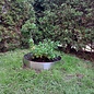 Versandmetall RVS (V2A) plantenring, ronde gazonrand met vouw, ring voorgebogen, hoogte 20 cm
