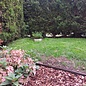 Versandmetall Anneau de plantation en acier inoxydable (V2A), bordure de pelouse ronde avec pli, anneau pré-courbé, hauteur 20 cm
