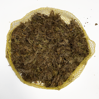 Versandmetall Pflanzenhalter aus Edelstahl, Befestigung an der Wand, DIY Pflanzhilfe für Eichhorn Farne, Orchideen, epiphytische Pflanzen, 2 Größen