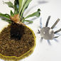 Versandmetall Roestvrijstalen plantenhouder, wandmontage, doe-het-zelf planthulpmiddel voor eekhoornvarens, orchideeën, epifytische planten, 2 maten