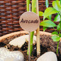 Versandmetall Signalisation de plante stable Fiche de plante en tôle d'acier inoxydable de haute qualité d'environ 5 cm de long