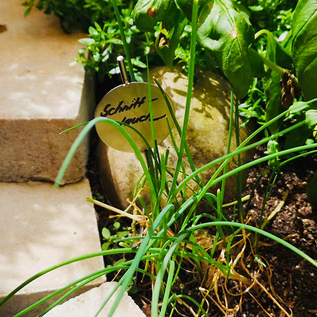 Versandmetall Stabiele planttekens Plantplug gemaakt van hoogwaardige roestvrijstalen plaat van ongeveer 5 cm lengte van de staaf 25 cm