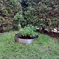 Versandmetall Anneau de plantation plat en acier inoxydable (V2A), bordure de pelouse ronde avec pli, anneau pré-enroulé, hauteur 5 cm