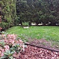 Versandmetall Anneau de plantation plat en acier inoxydable (V2A), bordure de pelouse ronde avec pli, anneau pré-enroulé, hauteur 5 cm