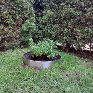 Versandmetall Anneau de plantation en acier inoxydable (V2A) en 2 parties, diamètre 1260 mm, bordure de pelouse ronde avec pli, anneau pré-cintré en demi-coquille, hauteur 20 cm