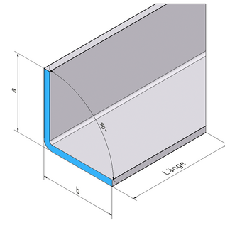 Versandmetall Speciaal roestvrijstalen hoekprofiel, groot, 90°, dikte 1,5 mm, afmetingen 100 x 500 mm, lengte 2500 mm