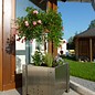 Versandmetall Edelstahl Blumen Pflanzkübel Übertopf Pflanzgefäß 38-58cm rostfrei quadratisch