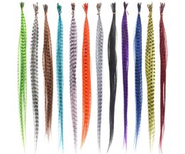 Gekleurde Haarextensions (10 Stuks)