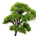 Miniatur-Baum Für Die Dekoration (10 Stück)