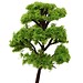 Miniatur-Baum Für Die Dekoration (10 Stück)