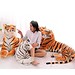 Tiger Cuddle In 2 Farben