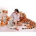 Tiger Cuddle In 2 Farben