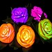 Blumen Rose LED-Lampe