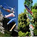 Windsock Mit Fisch