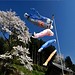 Windsock Mit Fisch