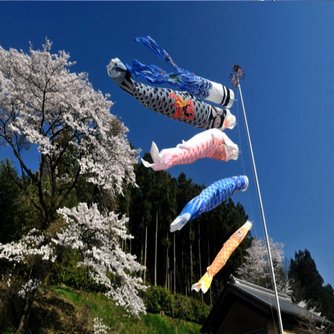 Windsock Mit Fisch
