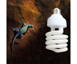 UVB-Lampe Für Terrarien