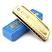 Blues Harmonica C Dickere 10Gaten