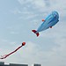 3D Fisch Kite