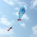 3D Fisch Kite