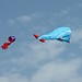 3D Fisch Kite