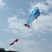 3D Fisch Kite