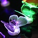 Farbe LED-Lampen-Schmetterlings-Form