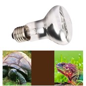 Tiere Lampe UVA