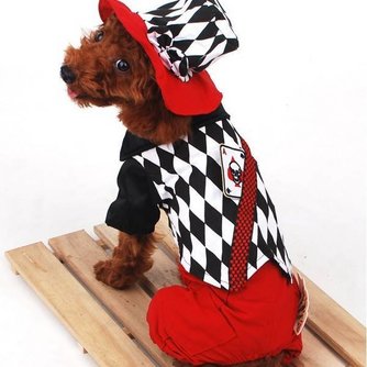 Fashion Hunde-Bekleidung