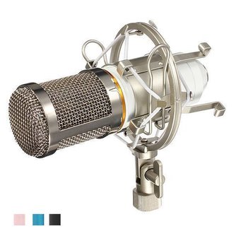 Kondensator-Mikrofon BM800 Mit Shock Berg