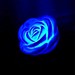 Baby Rose LEDNightlight