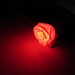 Baby Rose LEDNightlight