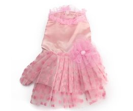 Hundekleid In Rosa