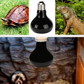 UV-Lampe Für Terrarien (25W, 50W, 75W Oder 100W)