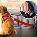 Fahrzeug Auto Haustier Hund Sitz Gürtel Welpen Auto Seatbelt Harness Lead Clip Pet Hund Liefert Sicherheit Hebel Auto Traktion Produkte 3S1